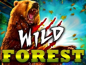 Wild Forest screenshot