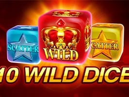 10 Wild Dice screenshot