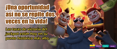 Noches de casino llenas de acción